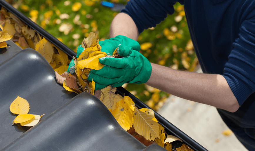 Gutter Guru